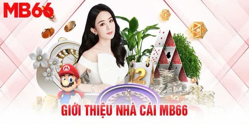 Thông tin giới thiệu MB66 